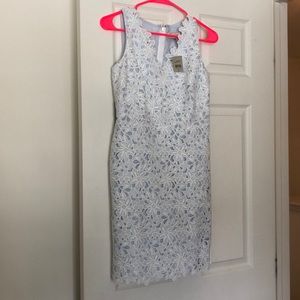 NWT Loft floral dress